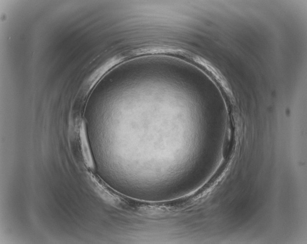 X0000087541185200704271224