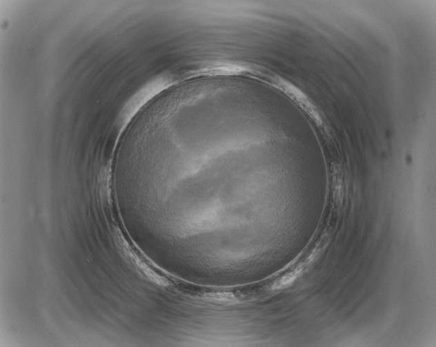 X0000087541186200704271224