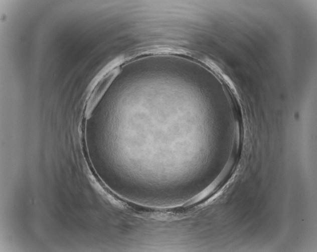 X0000087541189200704271224