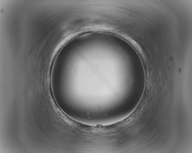 X0000087541191200704271224