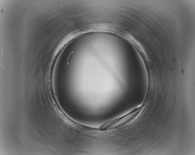 X0000087541192200704271224