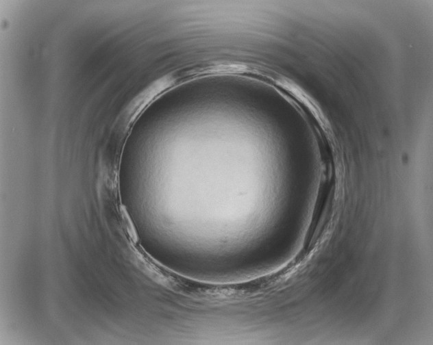 X0000087541193200704271224