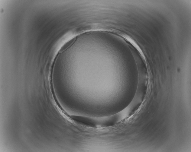 X0000087541197200704271224