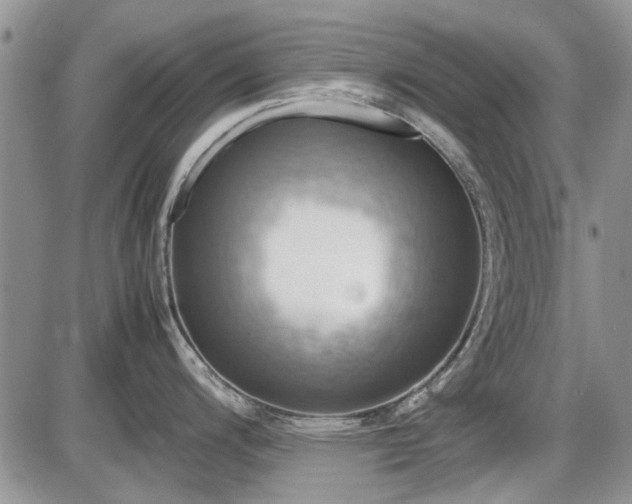 X0000087541200200704271224