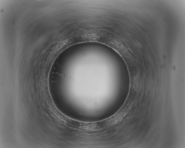 X0000087541201200704271223