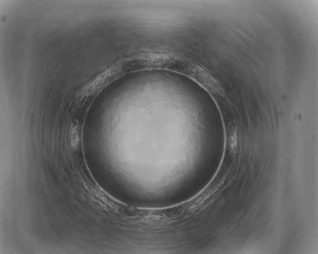 X0000087541204200704271223