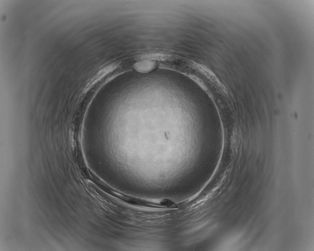 X0000087541209200704271223