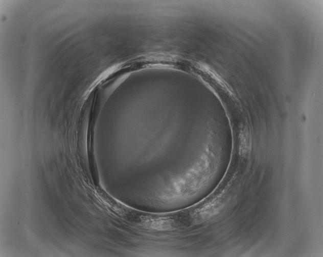 X0000087541213200704271223