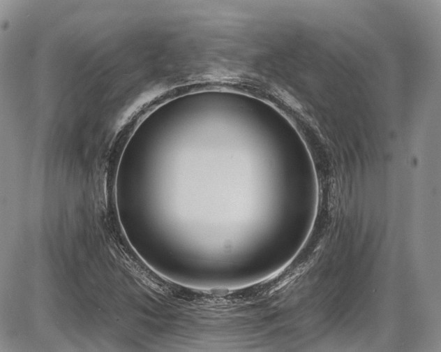X0000087541214200704271223