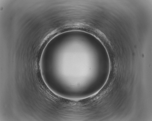 X0000087541218200704271223