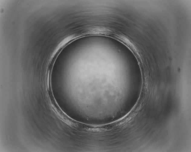 X0000087541227200704271224