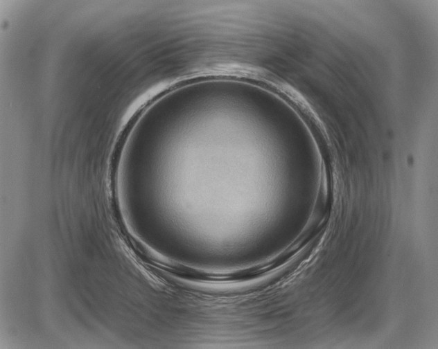 X0000087541230200704271224