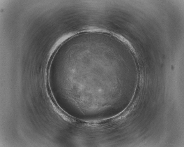 X0000087541231200704271224