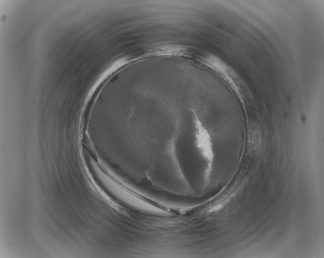 X0000087541235200704271224