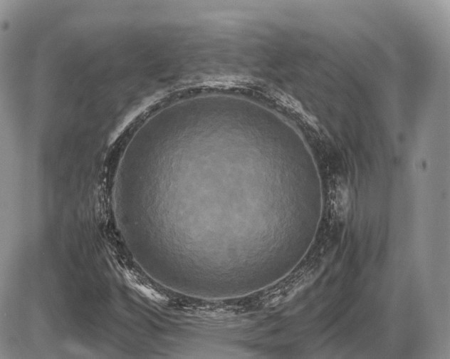 X0000087541256200704271223