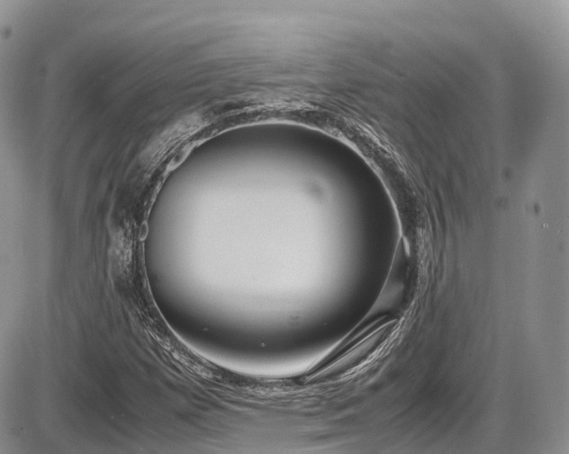 X0000087541257200704271223