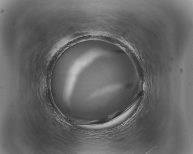 X0000087541263200704271223