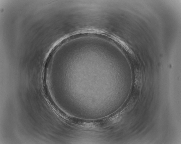 X0000087541264200704271223