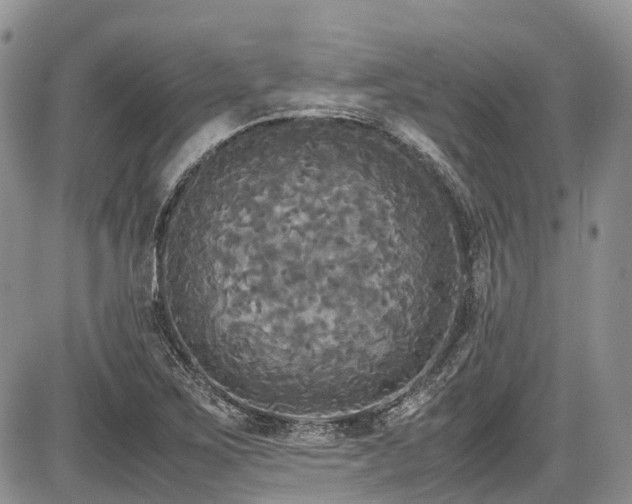 X0000087541267200704271223