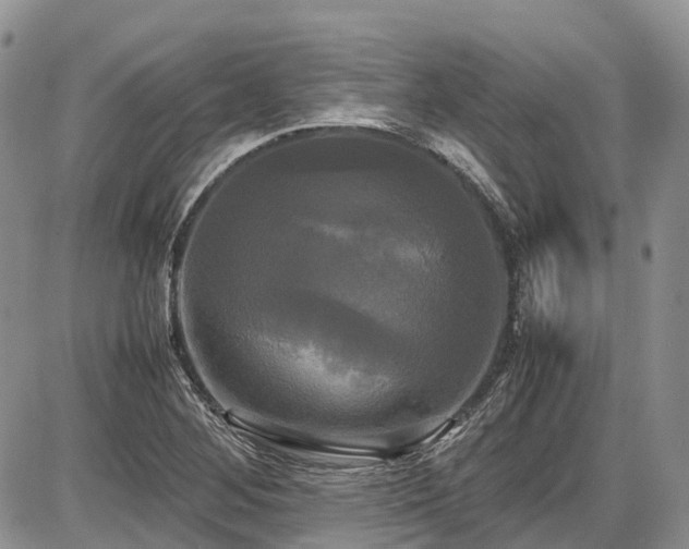 X0000087541268200704271223