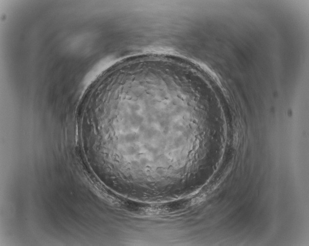 X0000087541271200704271223
