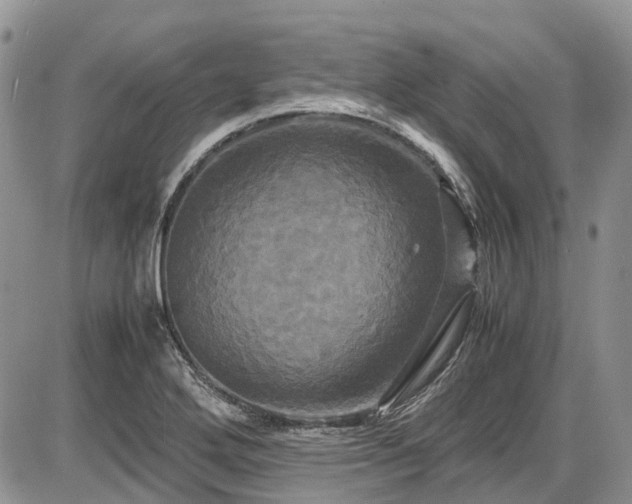 X0000087541272200704271223