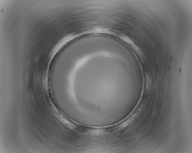 X0000087541278200704271223