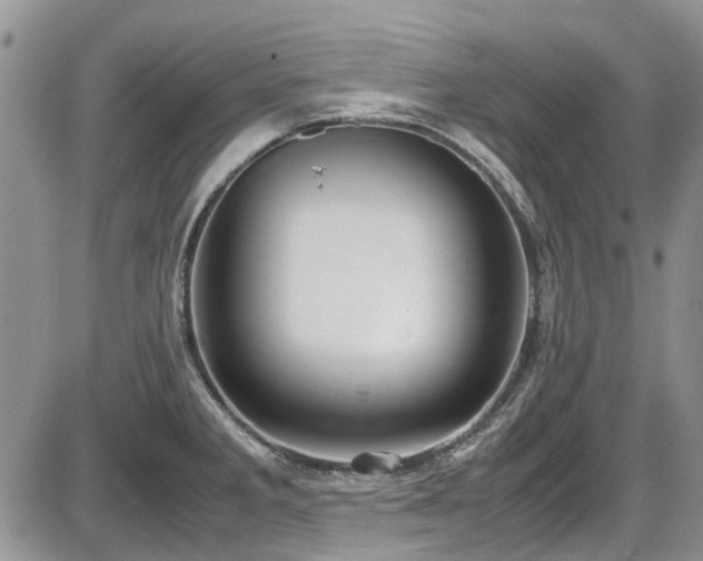 X0000087541285200704271223