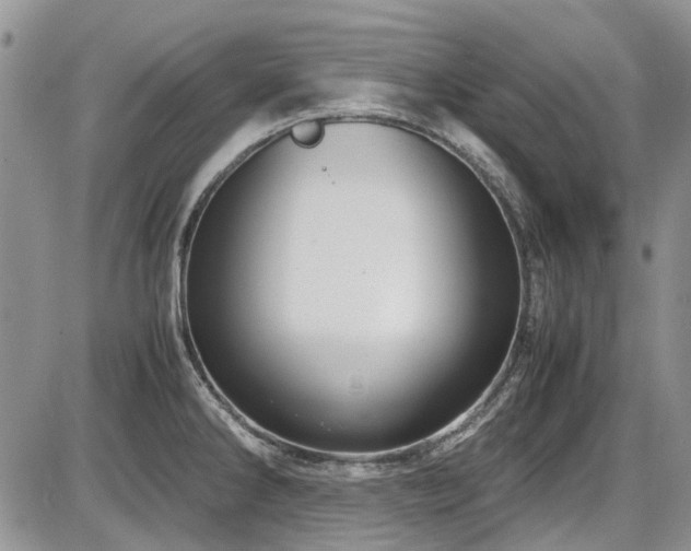 X0000087541286200704271223