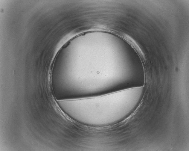 X0000087541292200704271222