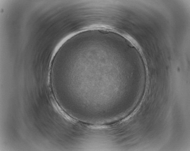 X0000087541296200704271222