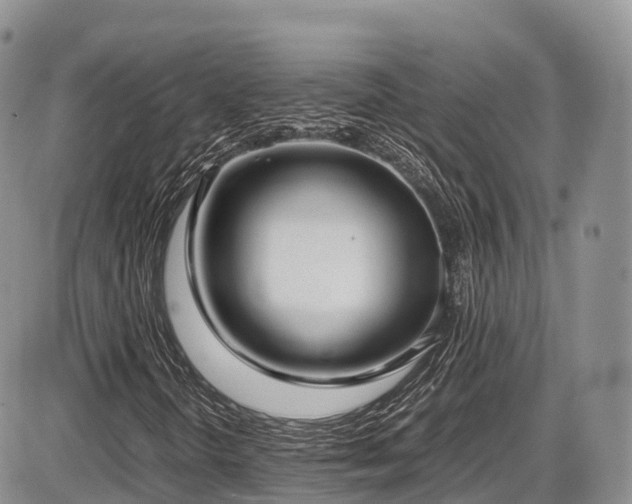 X0000087541298200704271222