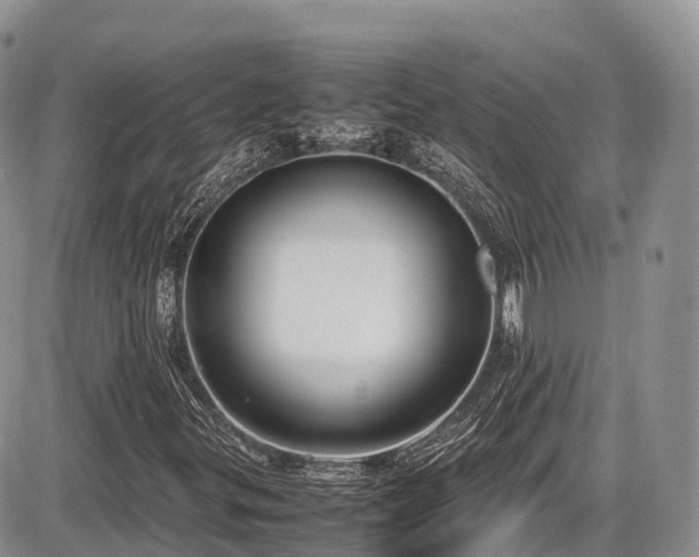 X0000087541299200704271222
