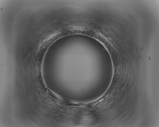 X0000087541303200704271222