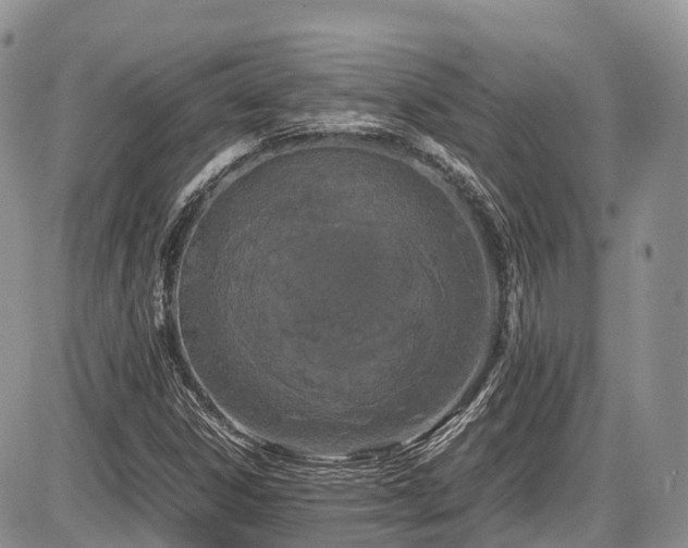 X0000087541306200704271222