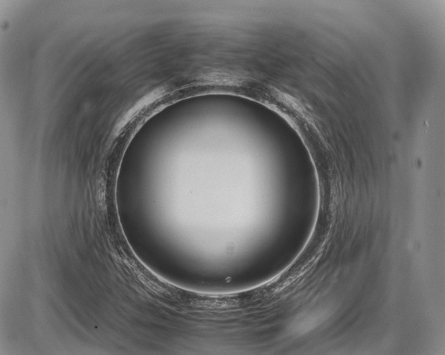 X0000087541307200704271222