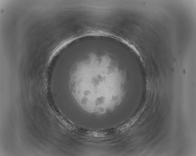 X0000087541311200704271222