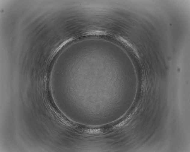 X0000087541313200704271222