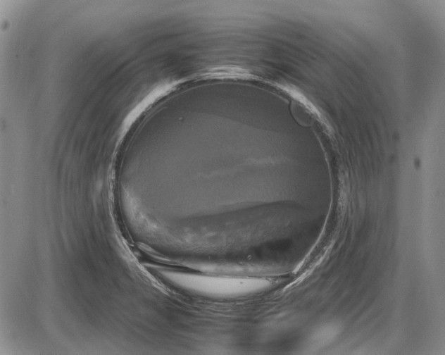 X0000087541325200704271222