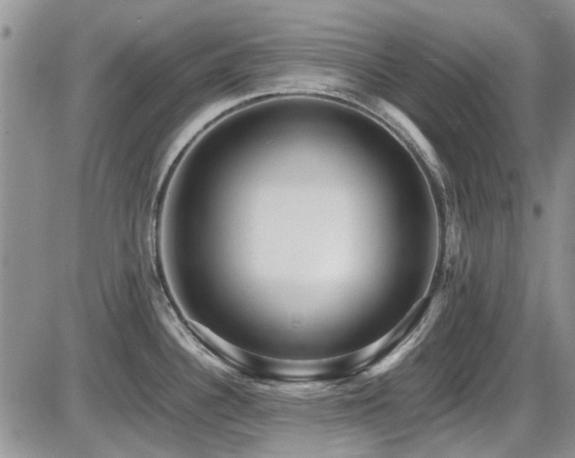 X0000087541340200704271222
