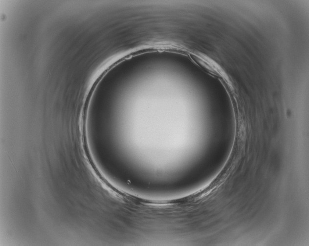X0000087541343200704271222