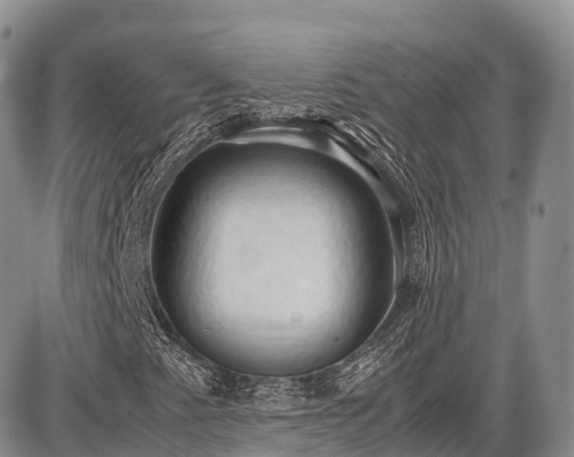 X0000087541345200704271222