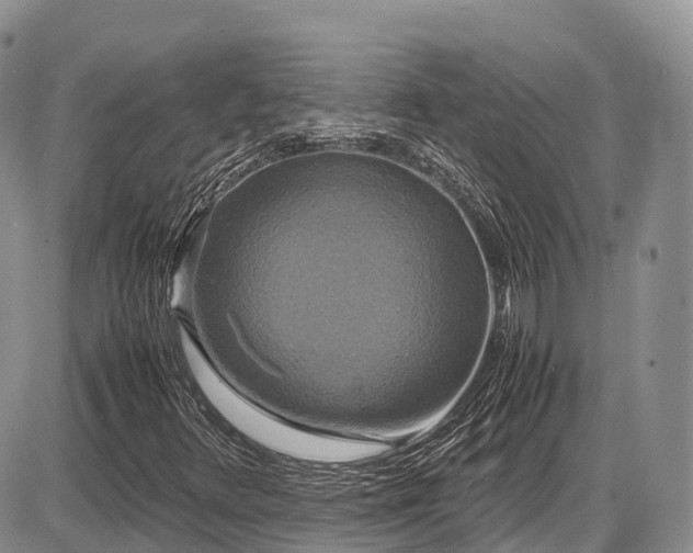 X0000087541348200704271222