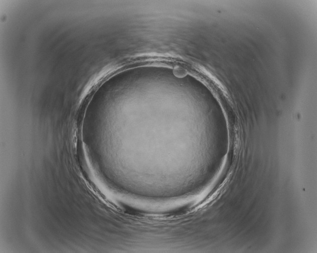 X0000087541357200704271221