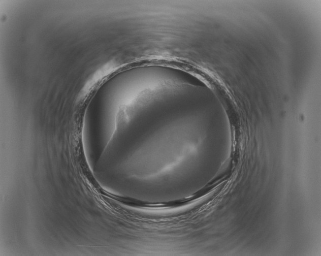 X0000087541359200704271221