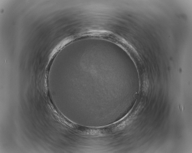 X0000087541362200704271221