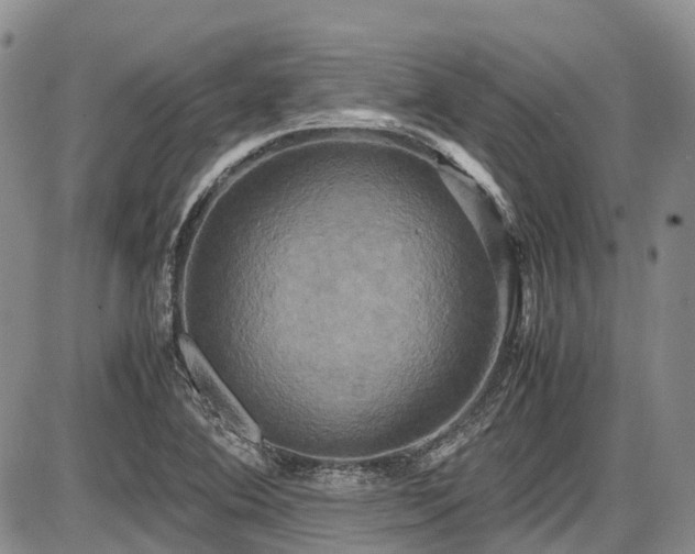 X0000087541364200704271221