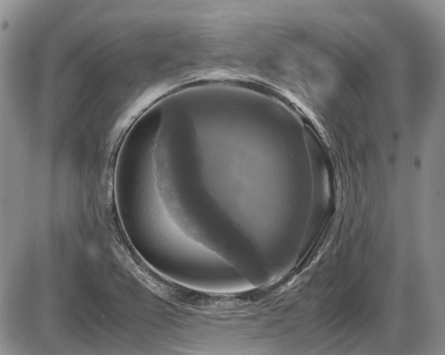 X0000087541367200704271221