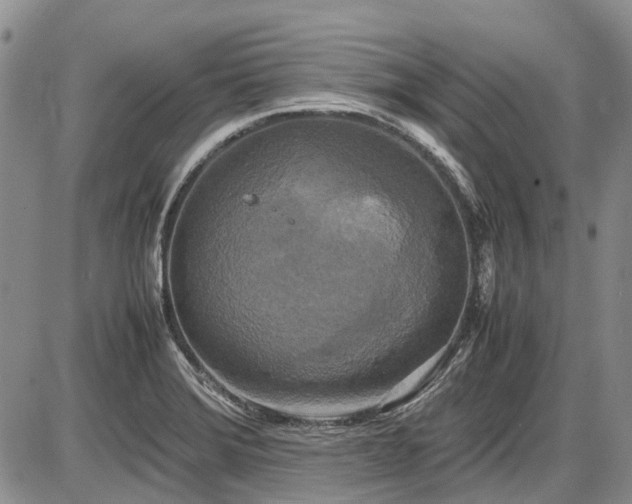 X0000087541372200704271221