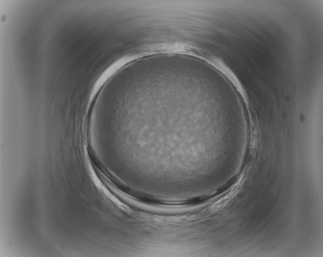 X0000087541389200704271221